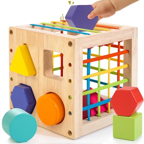 Winique Formsortier-Holzspielzeug ab 1 Jahr, Montessori sensorisches Spielzeug, Babyblöcke, Feinmotorik Sortierspiele für frühes Lernen, Geschenk für Kleinkinder Jungen Mädchen ab 12 Monate