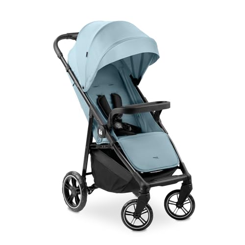 hauck Buggy Shop N Care für Kinder ab Geburt bis 22 kg mit Liegefunktion, Getränkehalter und Snack Tablett, Klein Zusammenklappbar, Sonnenverdeck (UPF 50+), XL Korb bis 3 kg (Dusty Blue)